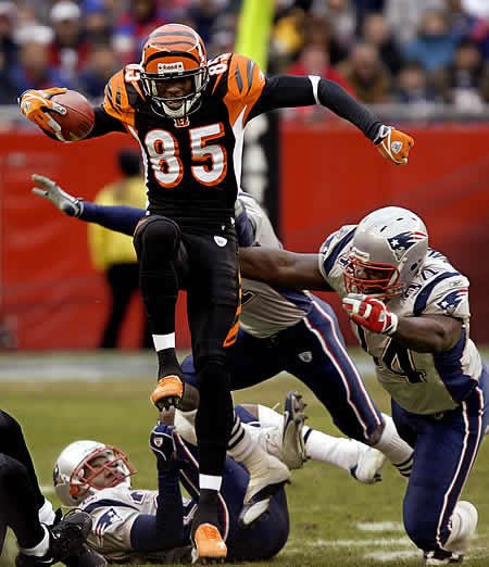 AYX-泰山猛虎队守住胜果瓯越猛虎队，棒球热身赛上演裁判判罚引热议！豪门底蕴再次显现(棒球比赛视频中文解说)